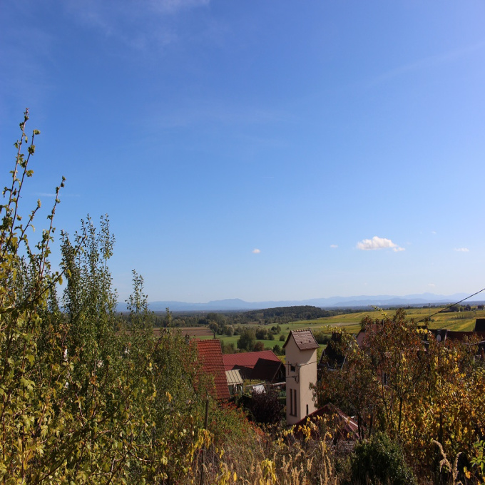 Offres de vente Terrain Nothalten (67680)